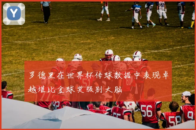 罗德里在世界杯传球数据中表现卓越堪比金球奖级别大脑